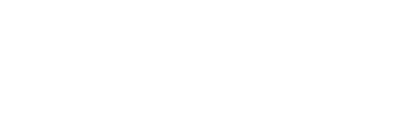 Parklex
